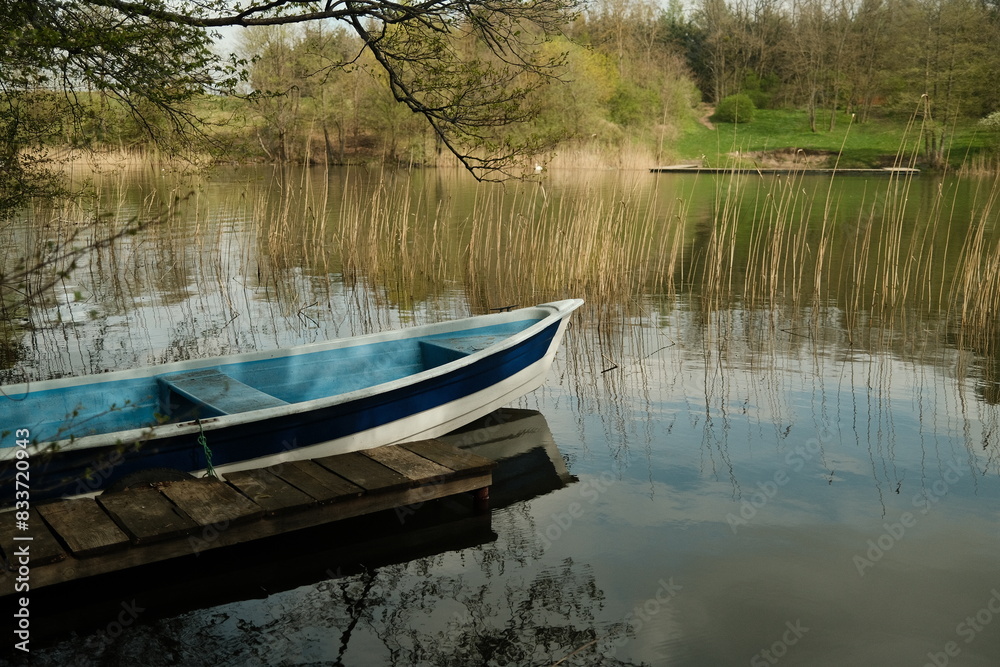 Forest, trees, thickets, greenery, nature, river, lake, boat, fishing Forest, trees, thickets, greenery, nature, river, lake, boat, fishing