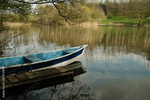 Forest, trees, thickets, greenery, nature, river, lake, boat, fishing © Igor