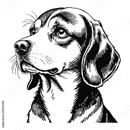 Beagle Dog Hand Drawn Engraved Ink Line Art Sketch Illustration
