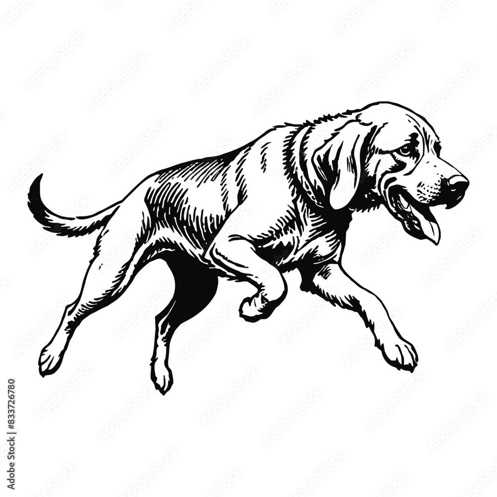 Bloodhound Dog Hand Drawn Engraved Ink Line Art Sketch Illustration ...