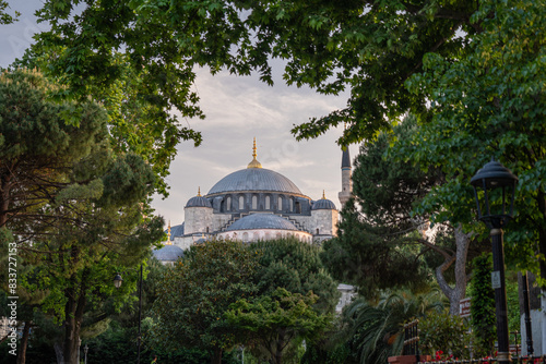 The dome of the Sultan Ahmed Mosque is surrounded by trees