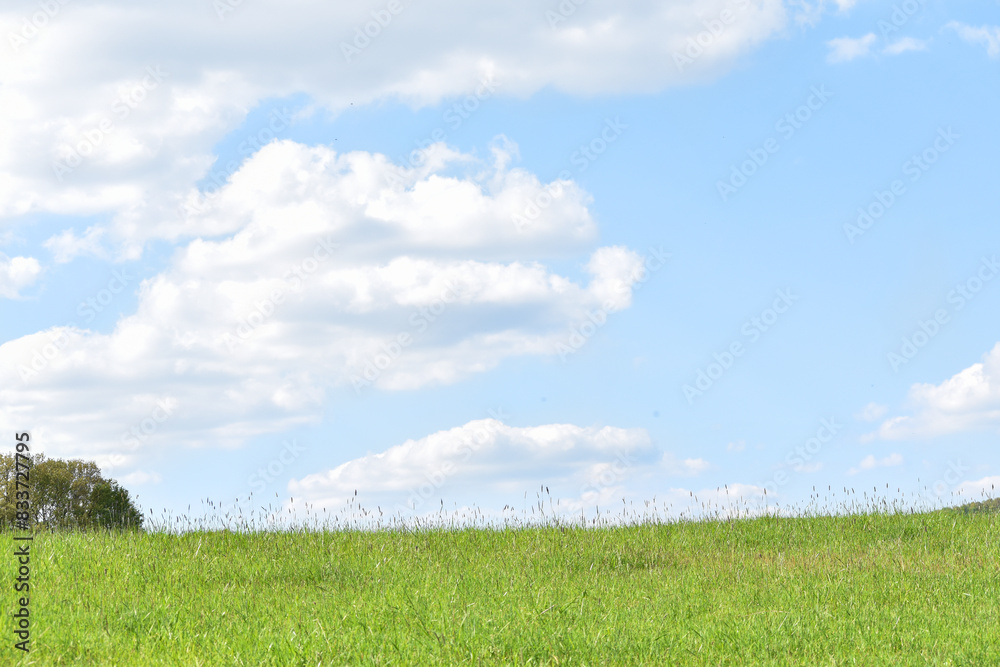 Bright green field and perfect blue sky. Concept of agrarian industry. Photo of picturesque summer day. Artistic wallpaper. Beauty of earth. Bright green field and perfect blue sky. Concept of agrarian industry. Photo of picturesque summer day. Artistic wallpaper. Beauty of earth.