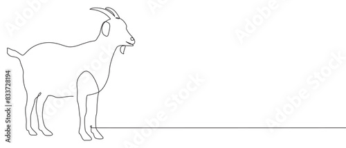 Continuous line drawing of sheep art style. Modern single line art. Happy idul adha, minimalistic style
