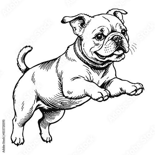Bulldog Dog Puppy Hand Drawn Engraved Ink Line Art Sketch Illustration