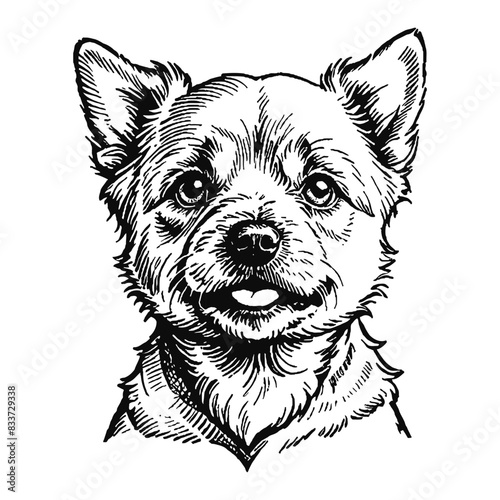 Cairn Terrier Dog Puppy Hand Drawn Engraved Ink Line Art Sketch Illustration