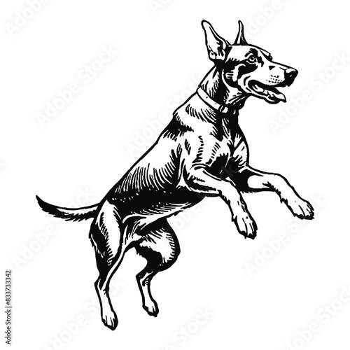 Dobermann Dog Hand Drawn Engraved Ink Line Art Sketch Illustration