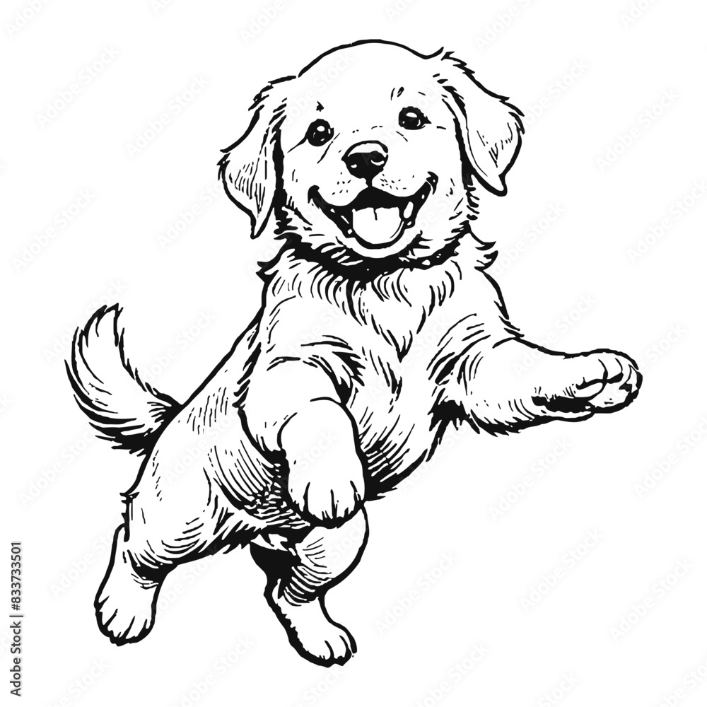 Golden Retriever Dog Puppy Hand Drawn Engraved Ink Line Art Sketch Illustration Golden Retriever Dog Puppy Hand Drawn Engraved Ink Line Art Sketch Illustration