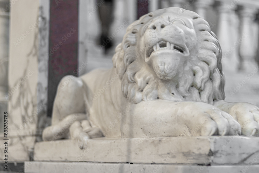 Marble lion in Iglesias Cathedral. Sardinia, Italy Marble lion in Iglesias Cathedral. Sardinia, Italy