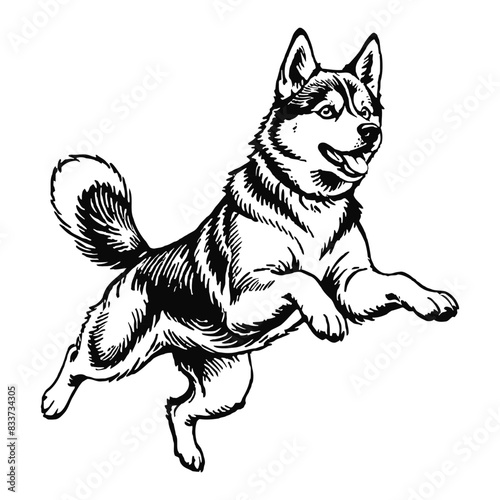 Husky Dog Hand Drawn Engraved Ink Line Art Sketch Illustration
