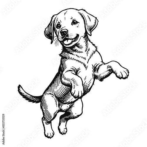 Labrador Retriever Dog Puppy Hand Drawn Engraved Ink Line Art Sketch Illustration