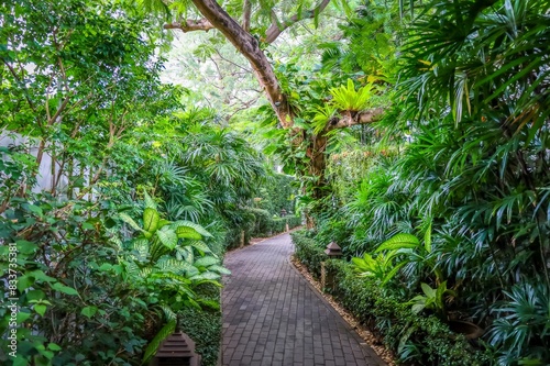 A brick path winds through lush tropical foliage  creating a tranquil and inviting escape from the everyday hustle and bustle.