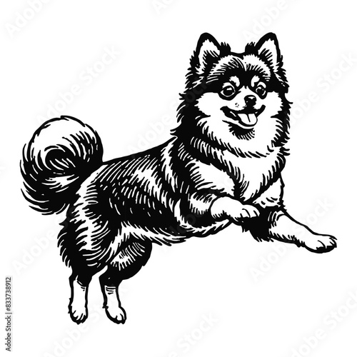 Pomeranian Dog Hand Drawn Engraved Ink Line Art Sketch Illustration