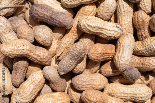 Bulk dried peanuts with shell on close view. photo