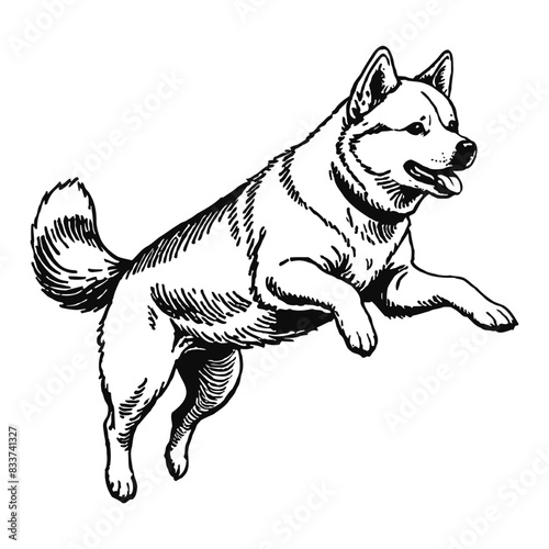 Japanese Shiba Inu Dog Hand Drawn Engraved Ink Line Art Sketch Illustration