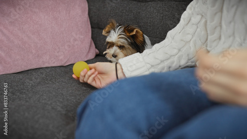 Hispanic woman playing with biewer yorkshire terrier at cozy indoor home setting.
