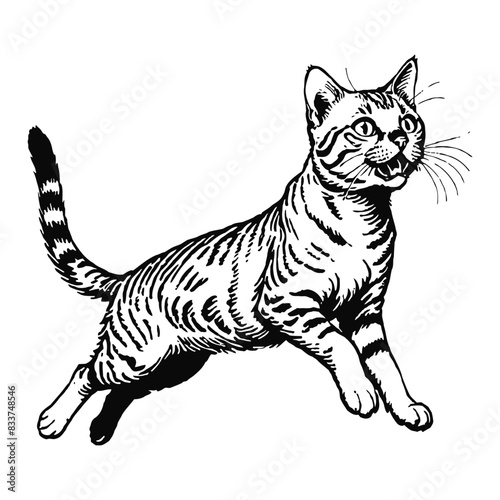 Wild Bengal Cat Hand Drawn Engraved Ink Line Art Sketch Illustration
