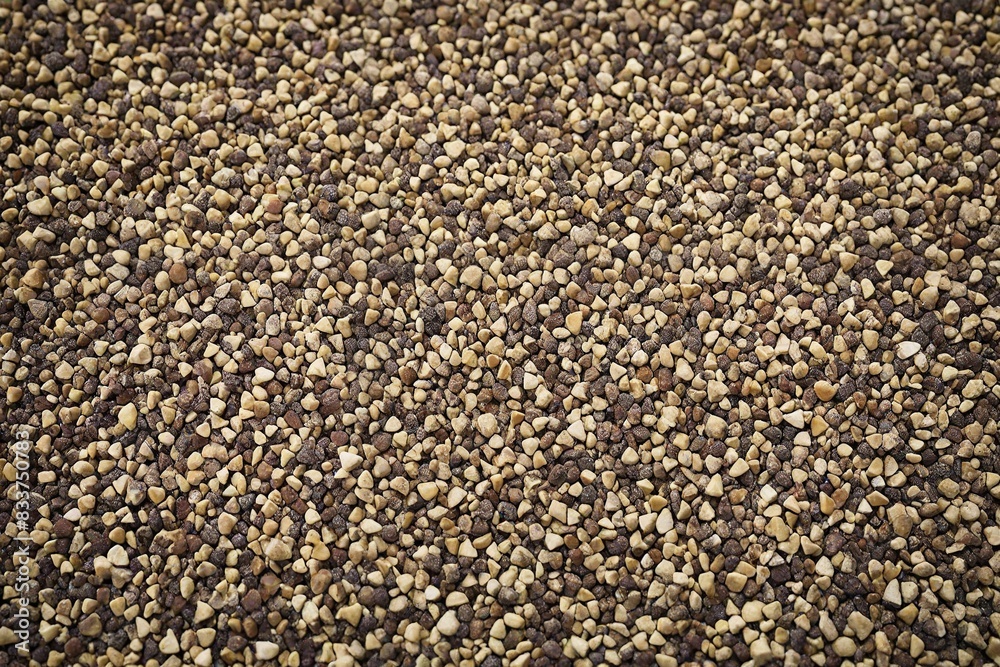 sesame seeds sesame seeds