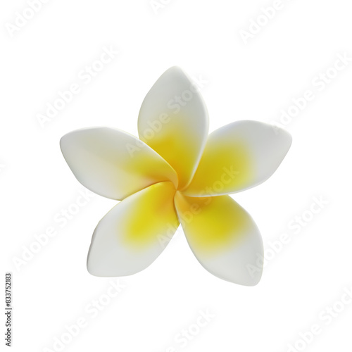 3d render Plumeria tropical flowers 3d vector of exotic flowering plants. Realistic blossom of Hawaiian frangipani petals. Thailand and Bali national symbol in clay style. Amazing Asian vacation