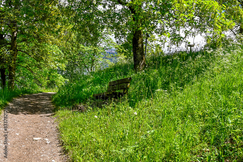 Bruneck, Brunico, Schlossberg, Schlossweg, Oberstadt, Schloss Bruneck, Pustertal, Altstadt, Raingasse, Dolomiten, Kronplatz, Wanderferien, Berge, Südtirol, Frühling, Sommer, Italien photo