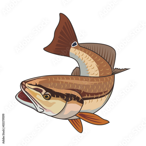 redfish fishing illustration logo vector image t shirt
 photo