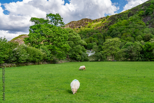 The beautiful town of Beddgelert Snowdonia photo