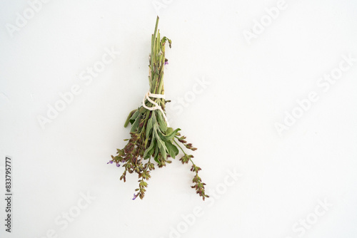 upright photograph of a branch of sage with a drying flower held with a string and hung upside down on a white wall photo