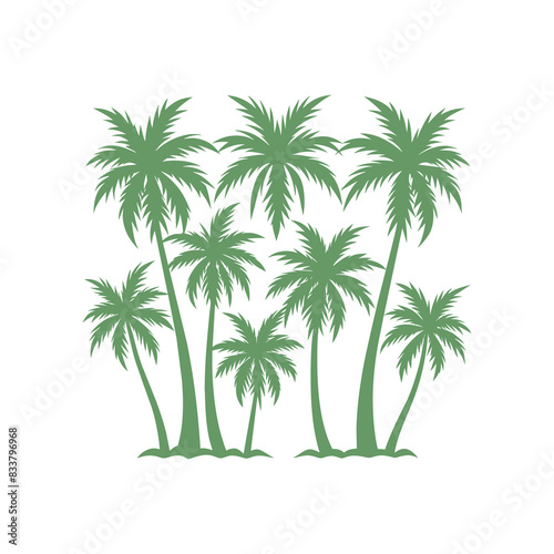 palm tree isolated on white