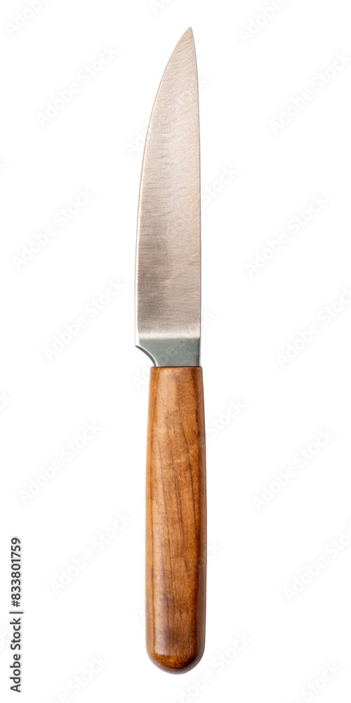 Small Wooden Knife