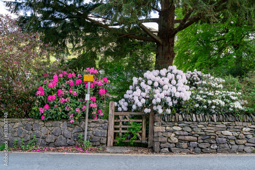 The beautiful town of Beddgelert Snowdonia photo