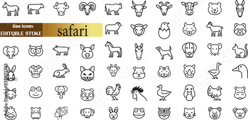 safari line web icons. African Animals, ecotourism activities. national parks. Editable stroke.