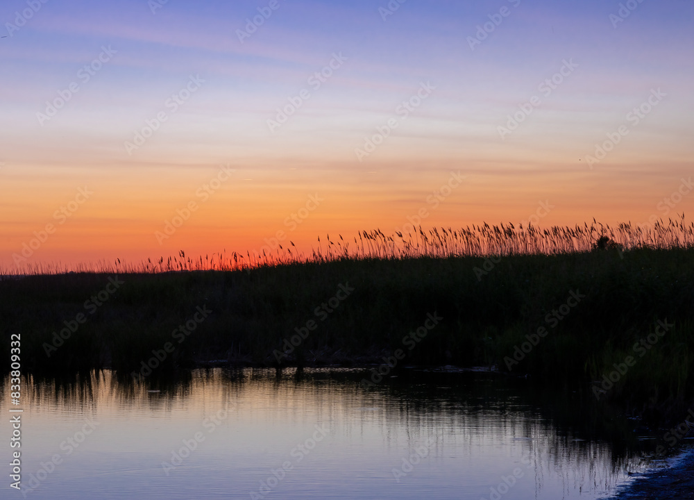 Delicate grasses frame the colorful sky during sunset in Corolla, NC