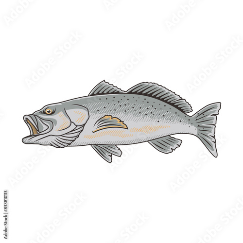 speckled trout fishing illustration logo vector image t shirt