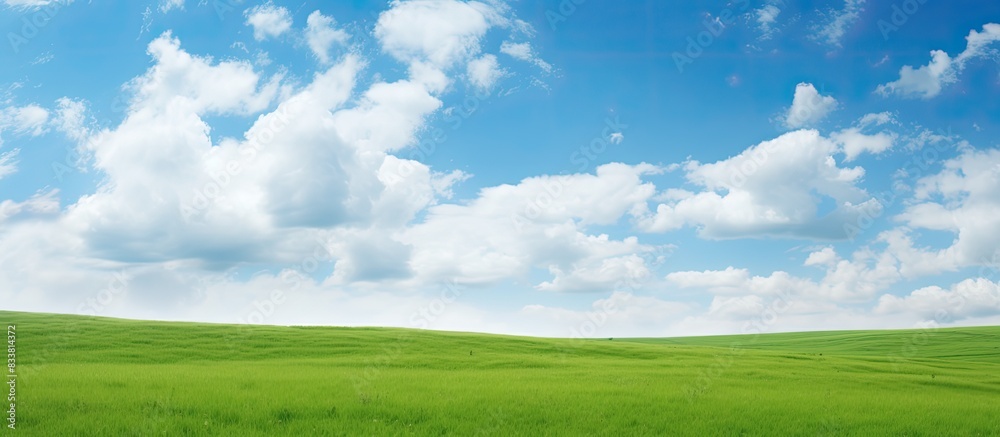 Scenic background with a green meadow, blue sky, and fluffy clouds, perfect for a copy space image. Scenic background with a green meadow, blue sky, and fluffy clouds, perfect for a copy space image.