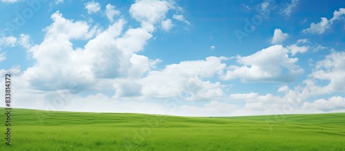 Scenic background with a green meadow, blue sky, and fluffy clouds, perfect for a copy space image.