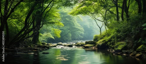 Panel kuchenny z motywem Tranquil river flows leisurely through lush forest, offering serene natural beauty and a peaceful ambiance, ideal for a copy space image.