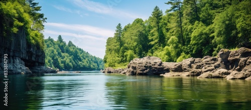 Scenic view of a cliff with a lush forest  river  and blue sky in summer  ideal for a copy space image.