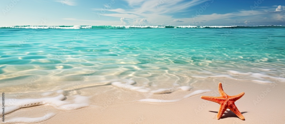 A starfish rests on the sandy beach beneath clear sea water, creating a serene summer background with ample copy space for a relaxing beach scene. A starfish rests on the sandy beach beneath clear sea water, creating a serene summer background with ample copy space for a relaxing beach scene.