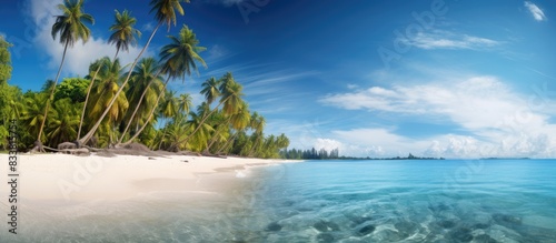Stunning tropical beach scenery with sandy shores  coconut trees  ideal for tourist vacation concepts  featuring an incredible beach landscape in the wide copy space image.