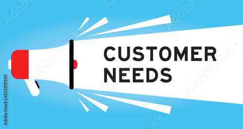 Color megaphone icon with word customer needs in white banner on blue background