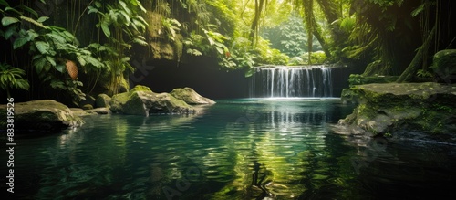 Nature scene with a picture...