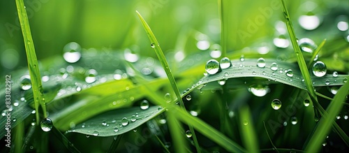 Macro photo of water drops ...
