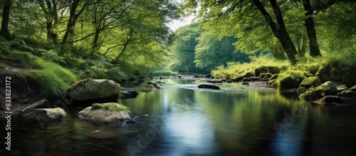 A swift stream flows through the nature reserve  ideal for capturing stunning photos with a beautiful natural backdrop and ample copy space image.