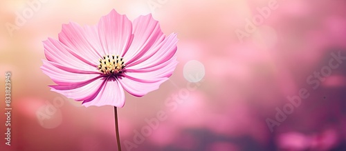 Close-up of a pink flower w...
