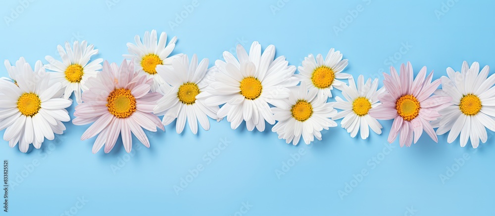 Obraz premium A border of bright daisy flowers surrounds the copy space image.