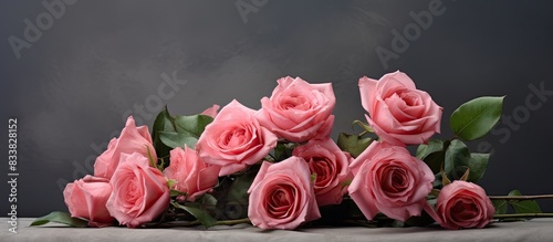 Gorgeous fresh roses held up with a copy space image.