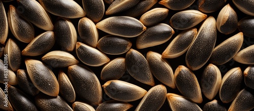 Background texture of a plant seed with dry characteristics highlighted  includes copy space image.