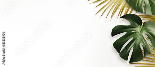 Minimal concept featuring g...