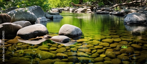 Nature stones and green landscape reflections in the creek create a serene copy space image. photo