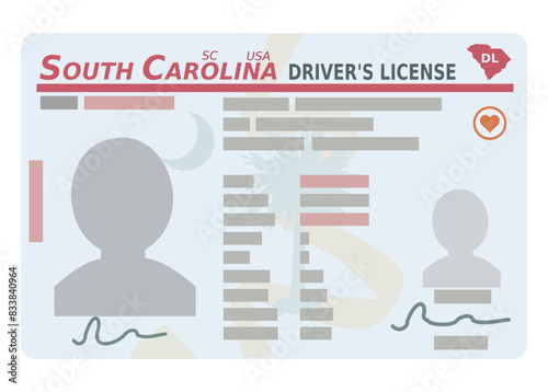 Driver's license from the US state of South Carolina in flat design style (cut out)