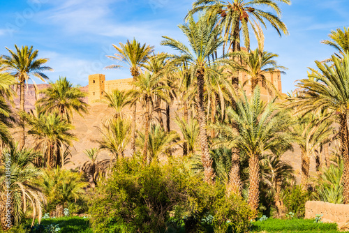 Palm trees in green oasis and view of Tamnougalt kasbah castle in Atlas Mountains, Morocco, North Africa